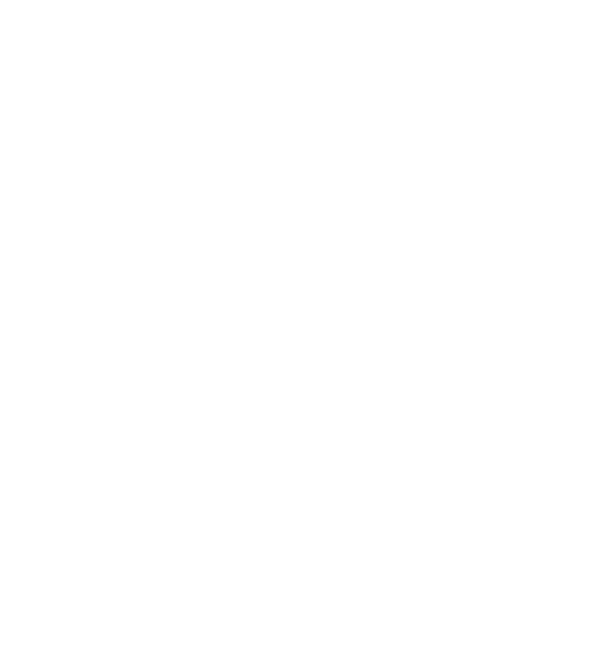 Simportal logo marque